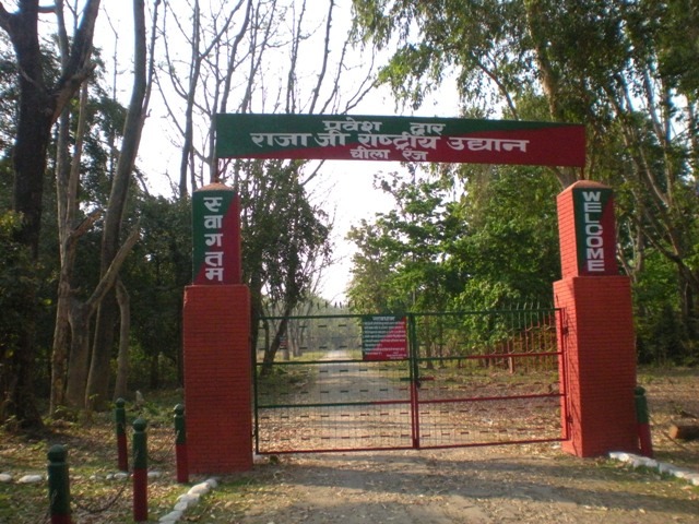 uttarakhand rajaji tiger reserve