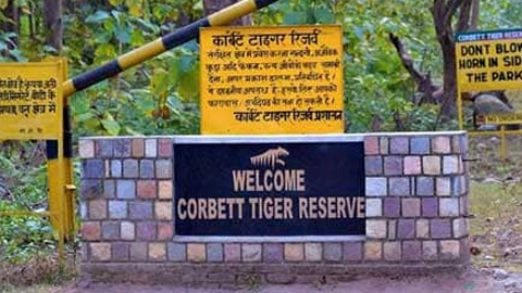 कॉर्बेट टाइगर रिजर्व के बिजरानी, सीतावनी और भंडारपानी जोन खुले — अक्टूबर-नवंबर में दिखेंगे बाघ, हाथी और प्रवासी पक्षी