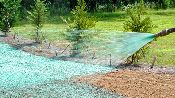 Hydroseeding Photo